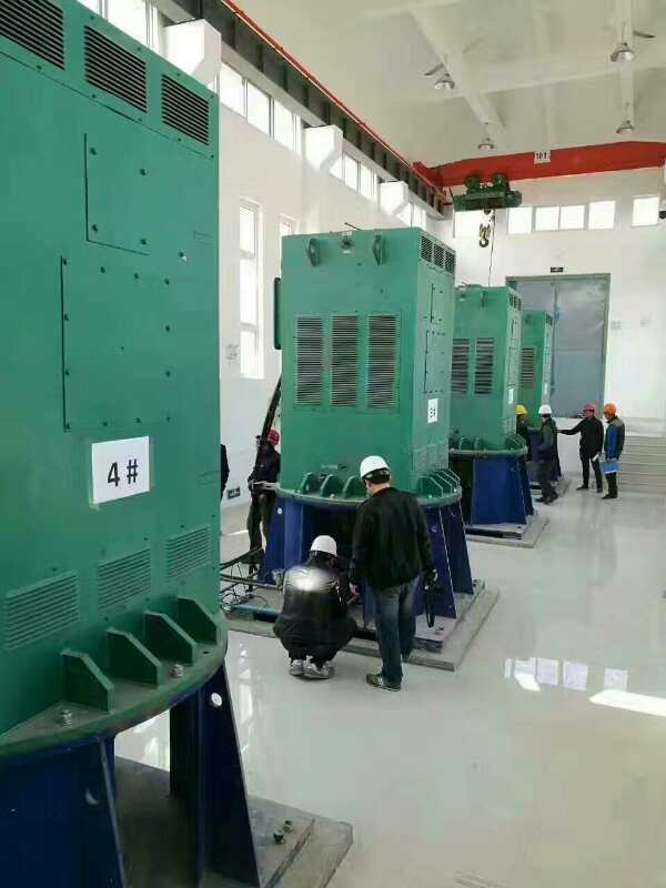 郧阳某污水处理厂使用我厂的立式高压电机安装现场
